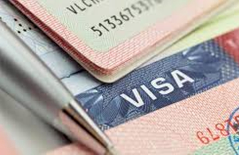 freelance vize evraklari nedir