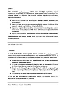 Istanbuldan gec yapilan vize basvurulari icin sorumluluk beyan formu pdf – SaltVisa