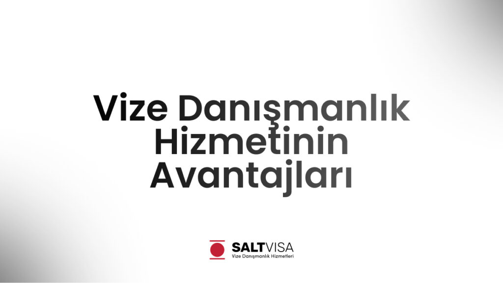 vize danışmanlık hizmetinin avantajları