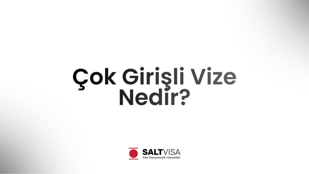 çok girişli vize nedir