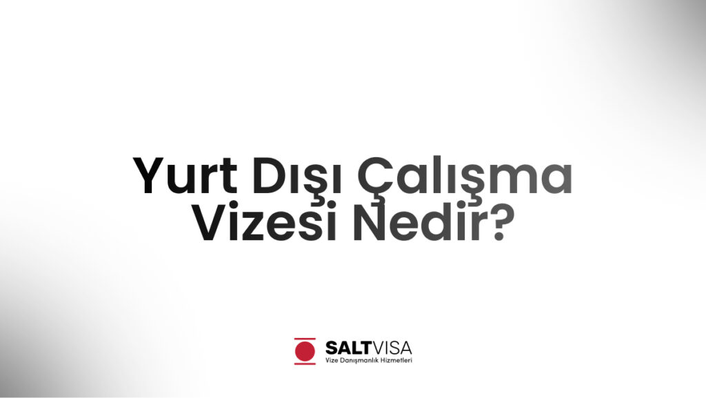 yurt dışı çalışma vizesi nedir