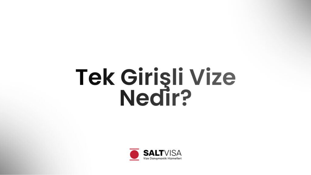 tek girişli vize nedir
