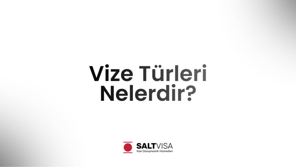 vize türleri nelerdir