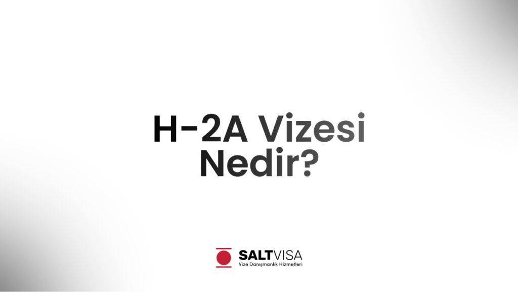 h-2a vizesi nedir