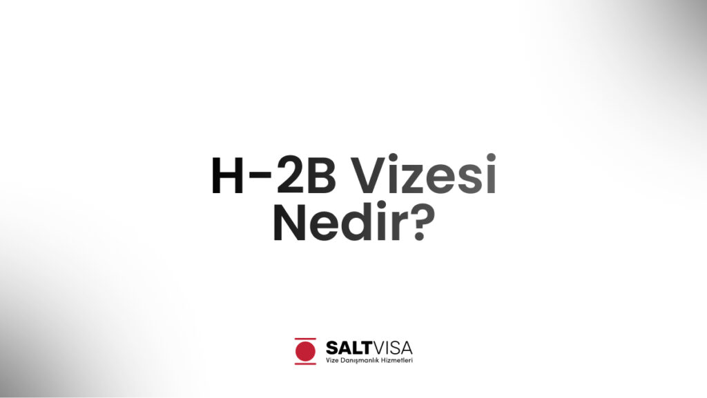 h-2b vizesi nedir