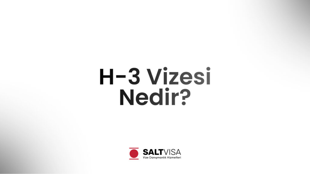 H-3 vizesi nedir
