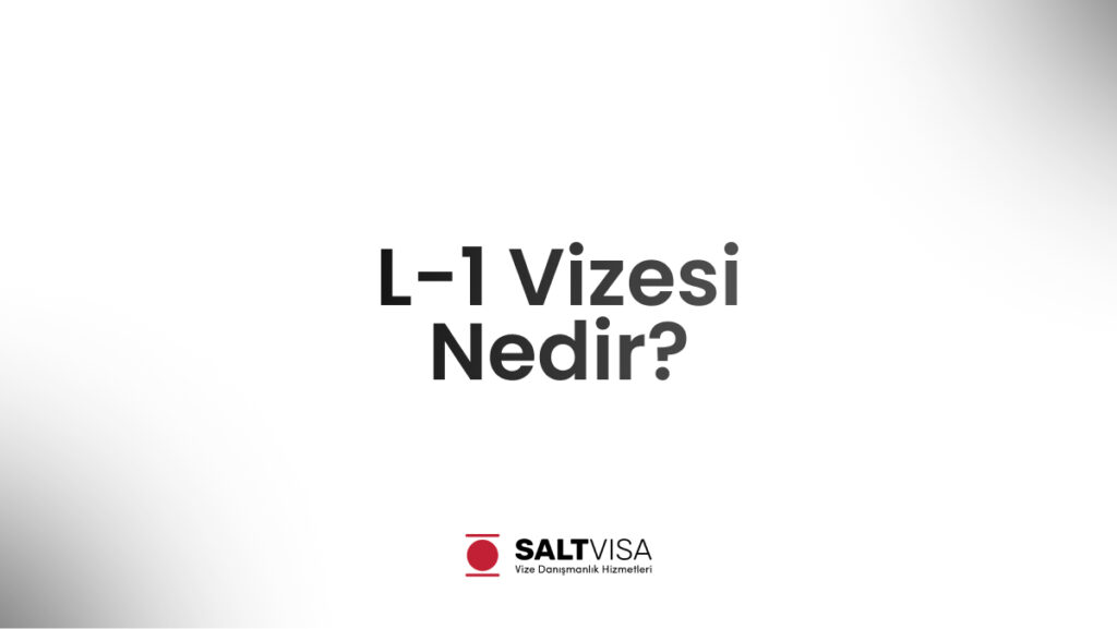 l-1 vizesi nedir