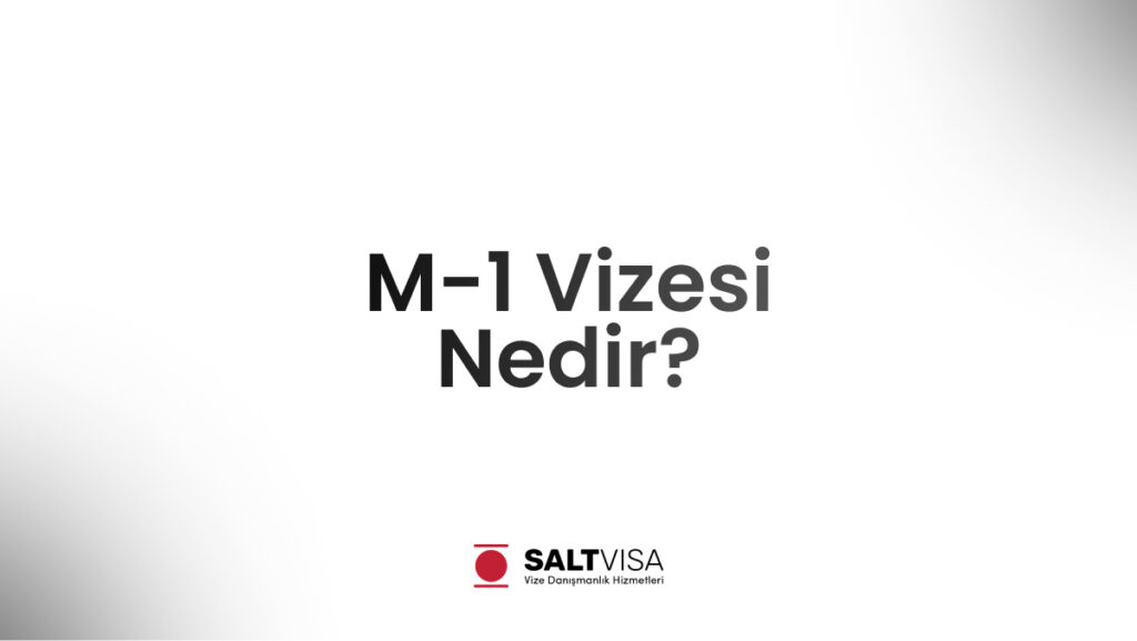 m-1 vizesi nedir